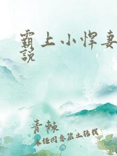 霸上小悍妻 小说