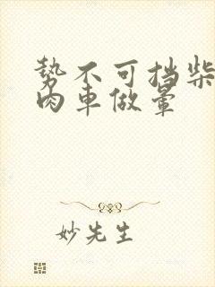 势不可挡柴鸡蛋肉车做晕