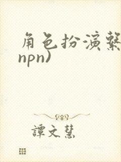 角色扮演系统(npn)