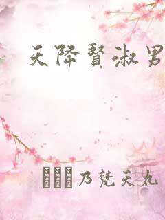 天降贤淑男小说