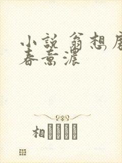 小说 翁想房中春意浓