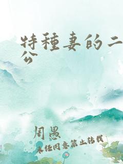 特种妻的二手老公