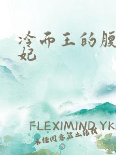 冷面王的腹黑王妃