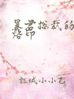 暴君总裁的狂烈烙印