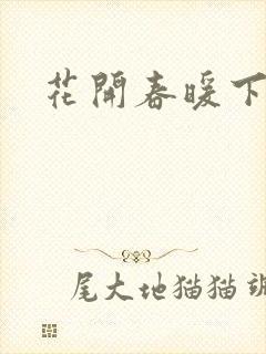 花开春暖下载