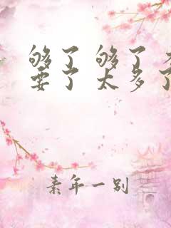 够了 够了 不要了 太多了