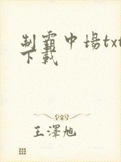 制霸中场txt下载