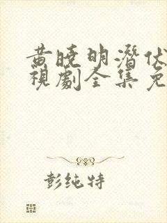 黄晓明潜伏者电视剧全集免费观看