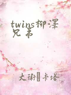 twins柳泽兄弟