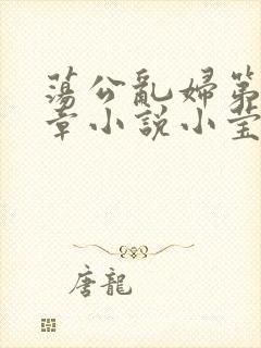 荡公乱妇第51章小说小莹