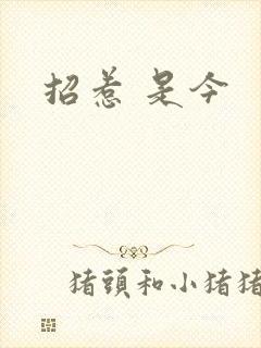 招惹 是今