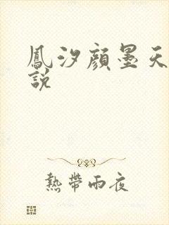 凤汐颜墨天问小说