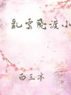 乱云飞渡小说