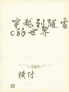 穿越到随处可以c的世界