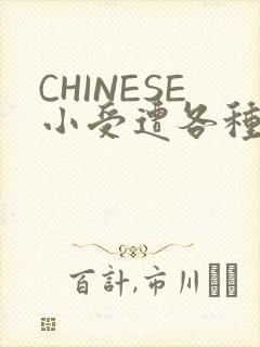 CHINESE小受遭各种打桩