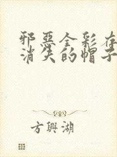 邪恶全彩存在感消失的帽子