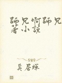 师兄啊师兄的原著小说