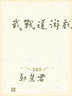 武战道游戏