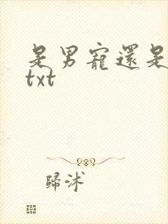 是男宠还是禁脔txt