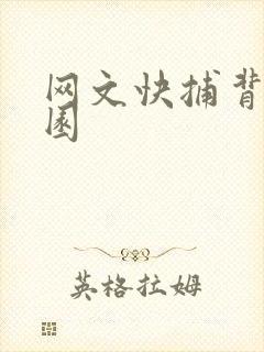 网文快捕背影家园