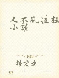 人不风流枉少年小说