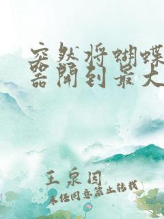 突然将蝴蝶遥控器开到最大