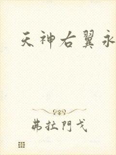 天神右翼永恒
