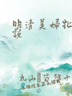 明清美妇牝户小说