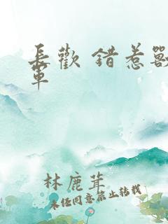 长欢 错惹兽将军