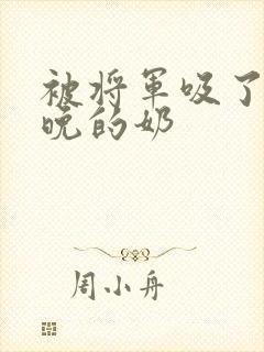 被将军吸了一整晚的奶