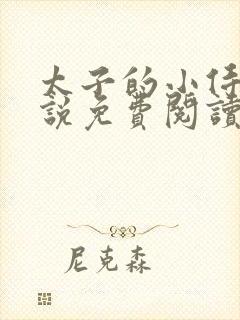 太子的小侍妾小说免费阅读全文