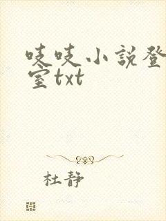 吱吱小说登堂入室txt