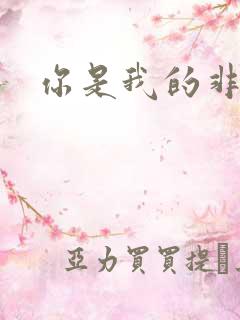 你是我的非卖品