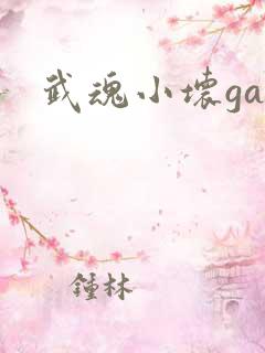 武魂小坏ga