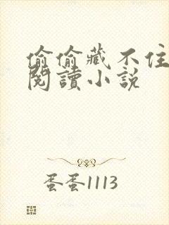 偷偷藏不住免费阅读小说