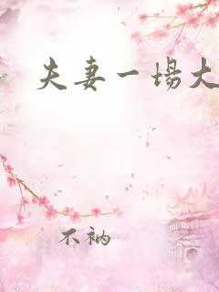 夫妻一场大结局