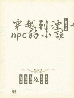 穿越到湮婸世界npc的小说