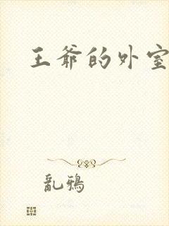 王爷的外室