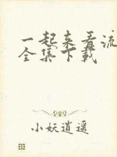 一起来看流星雨全集下载