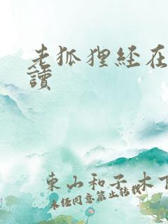 老狐狸经在线阅读