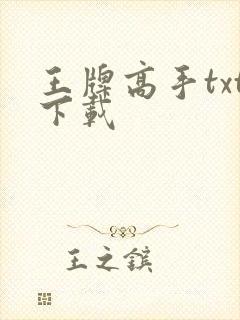 王牌高手txt下载