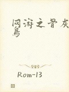 网游之骨灰级菜鸟