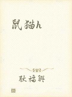 鼠猫h