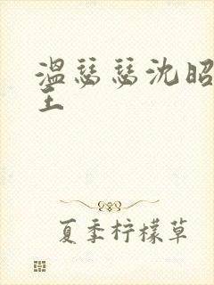 温瑟瑟沈昭摄政王