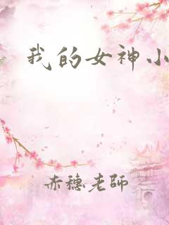 我的女神小说