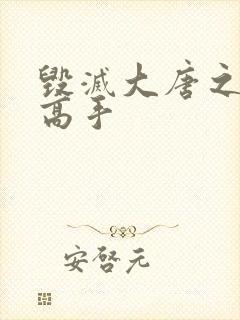 毁灭大唐之异能高手