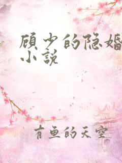 顾少的隐婚罪妻小说