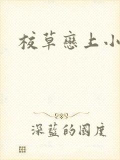 校草恋上小丫头