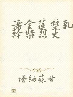 潘金莲双乳晃动干柴烈火