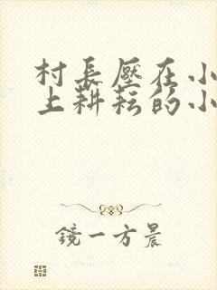 村长压在小娥身上耕耘的小说